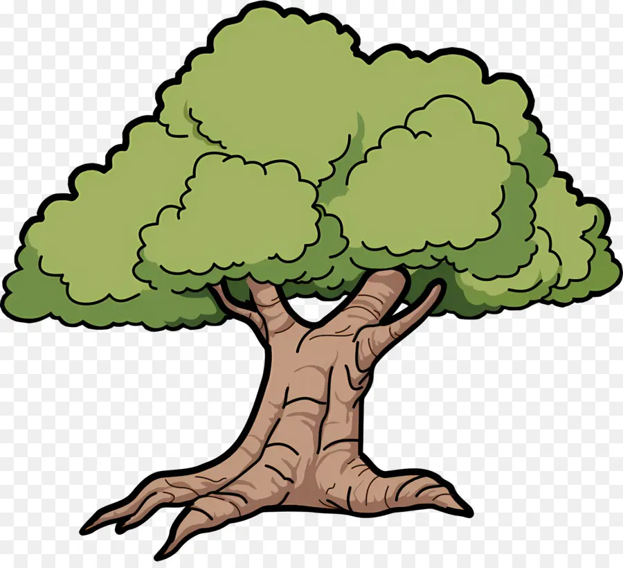 Ağaç，Dalları PNG