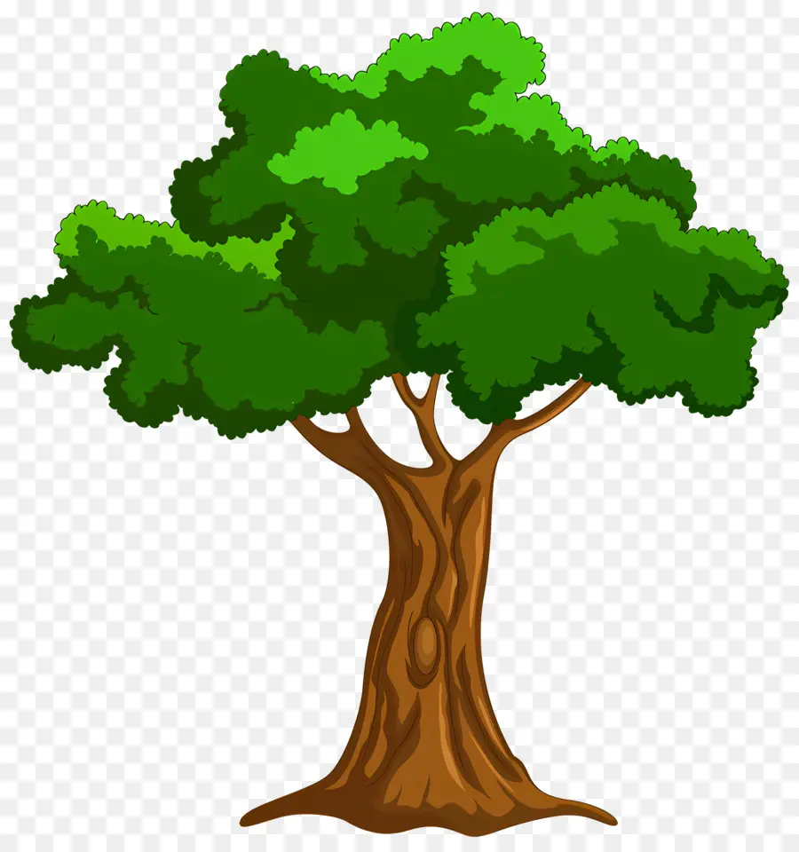 Ağaç，Kökleri PNG