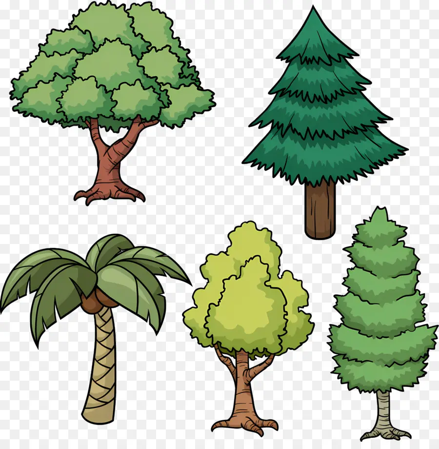 Ağaç，Ağaçlar PNG