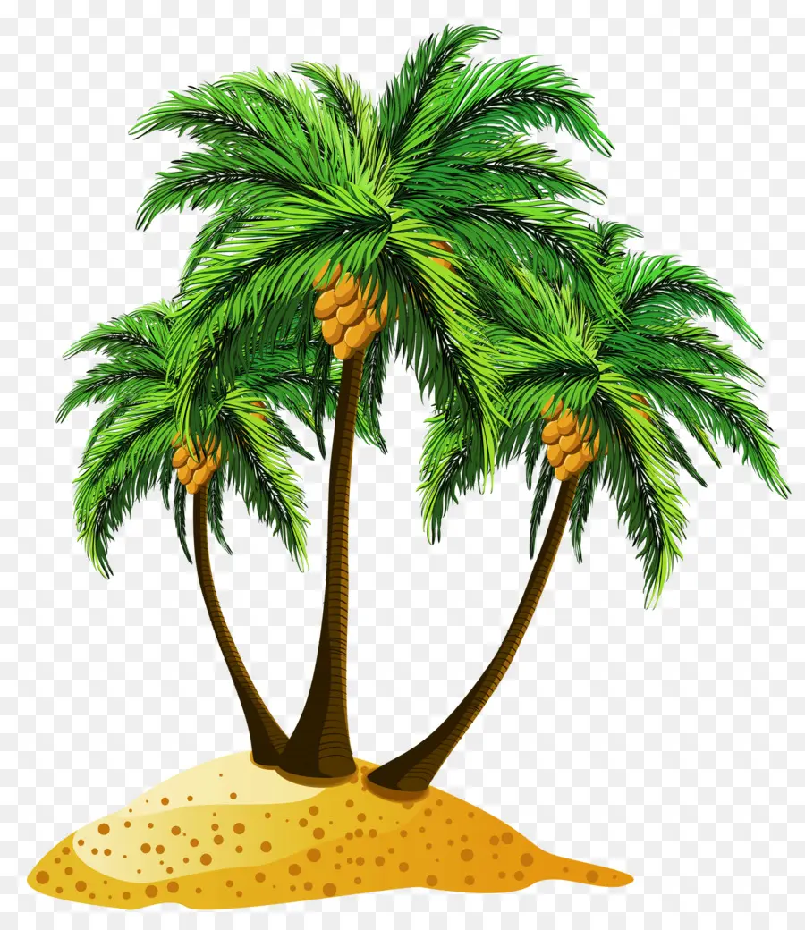 Ağaç，Palmiye Ağaçları PNG