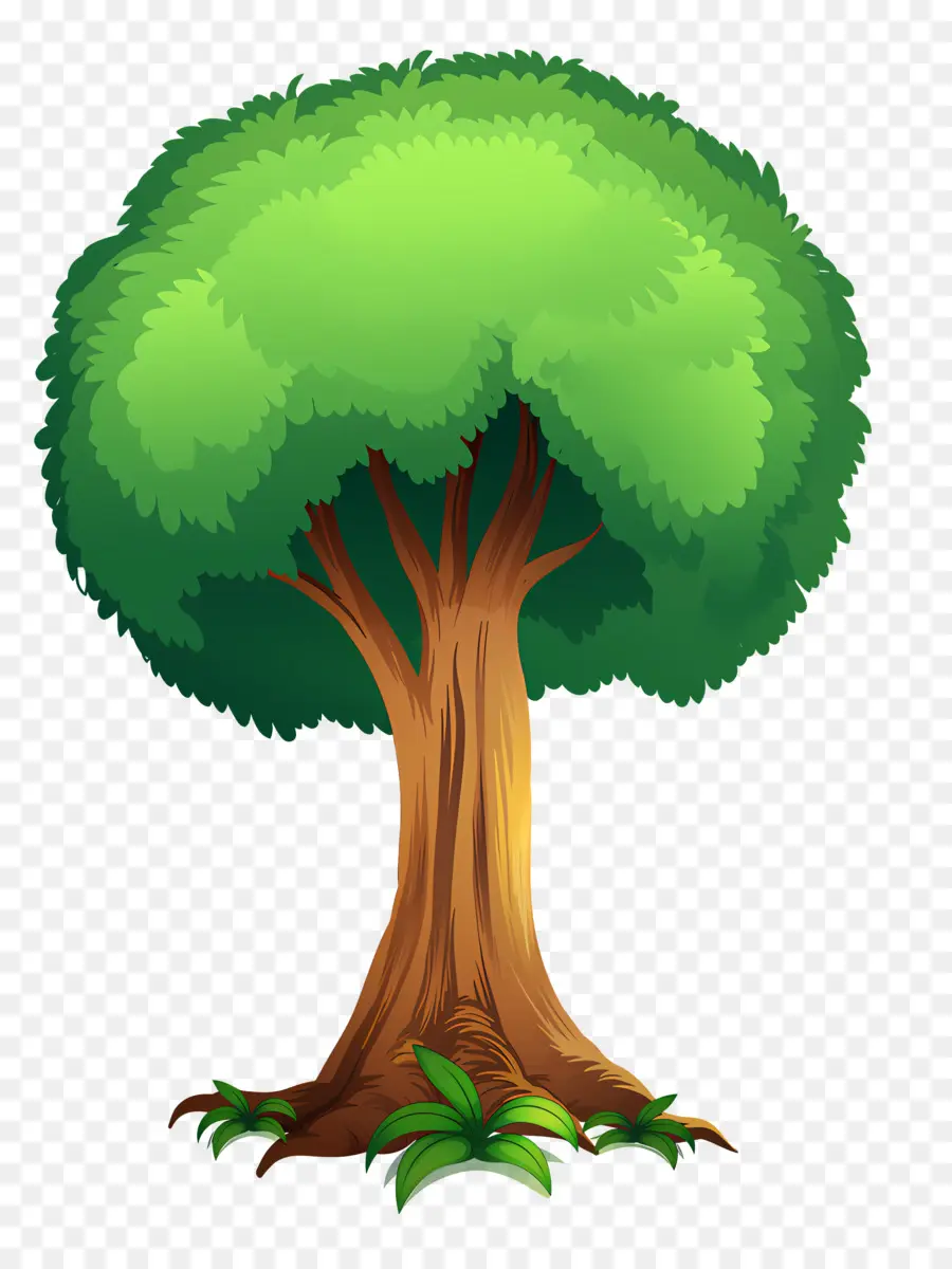Ağaç，Yeşil Ağaç PNG