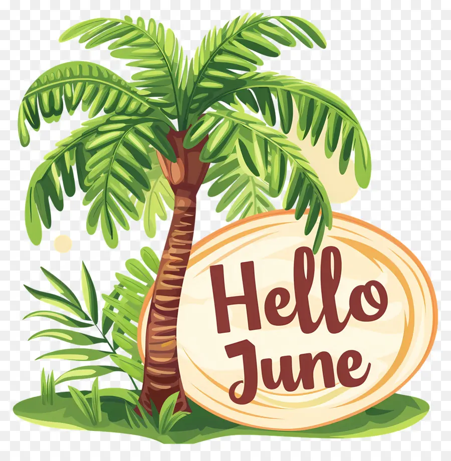 Merhaba Haziran，Palmiye Ağacı PNG