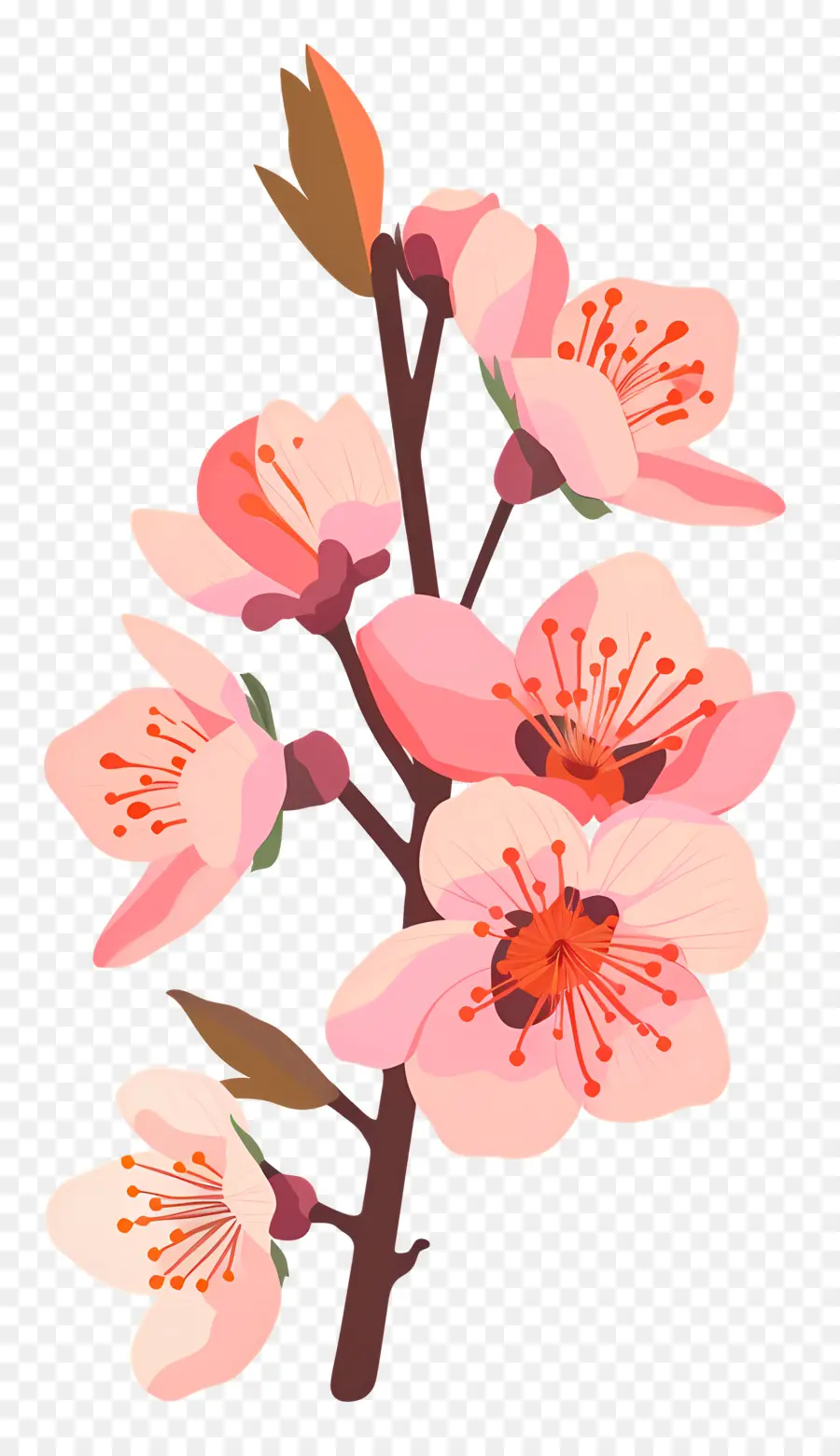 şeftali çiçeği，Kiraz çiçekleri PNG