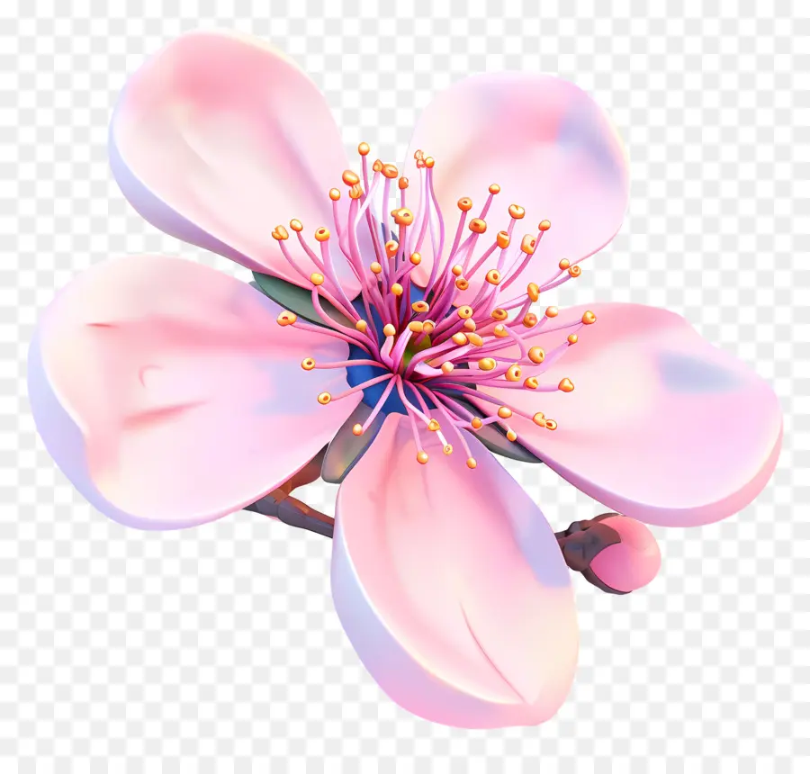 şeftali çiçeği，Pembe çiçek PNG