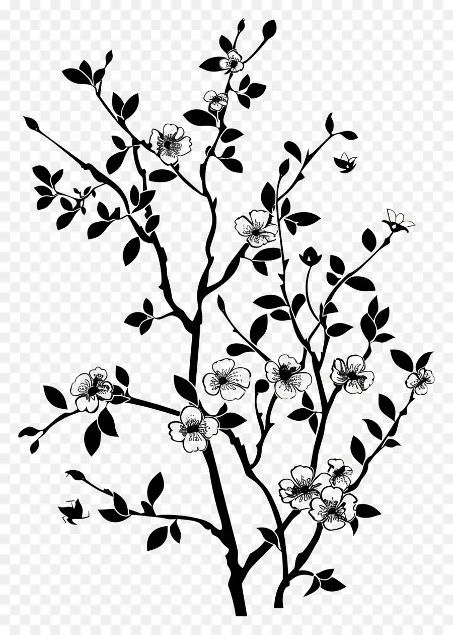 çiçek Siluet，Ağaç Dalı PNG