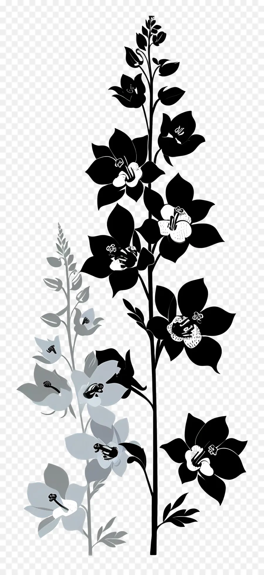çiçek Siluet，Beyaz çiçekler PNG