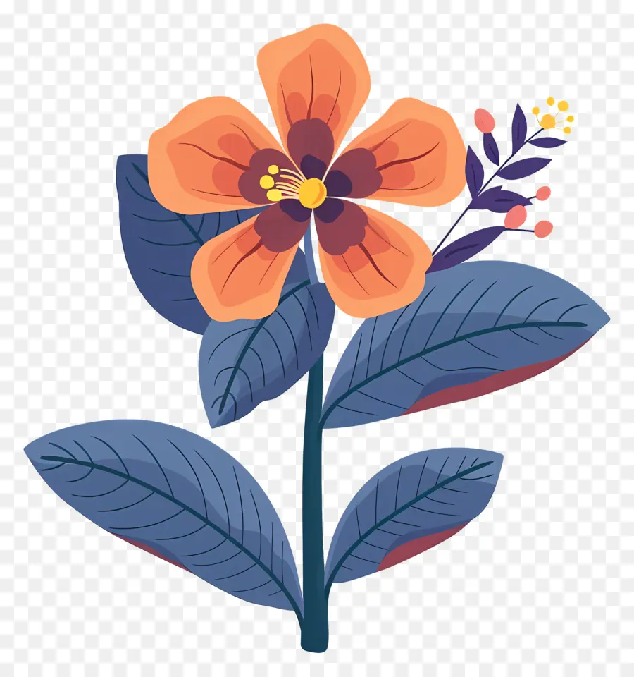 Alaska Devlet Çiçeği，çiçek PNG