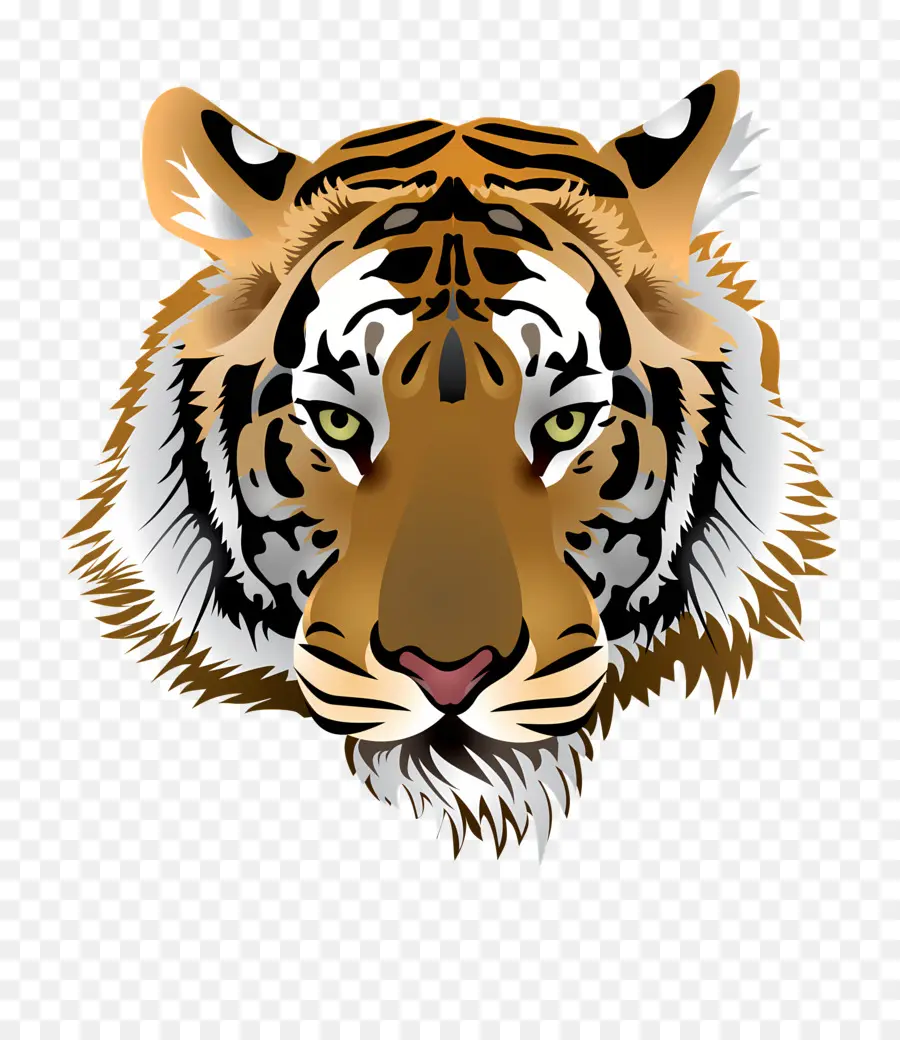 Tiger Logosu，Bengal Kaplanı PNG