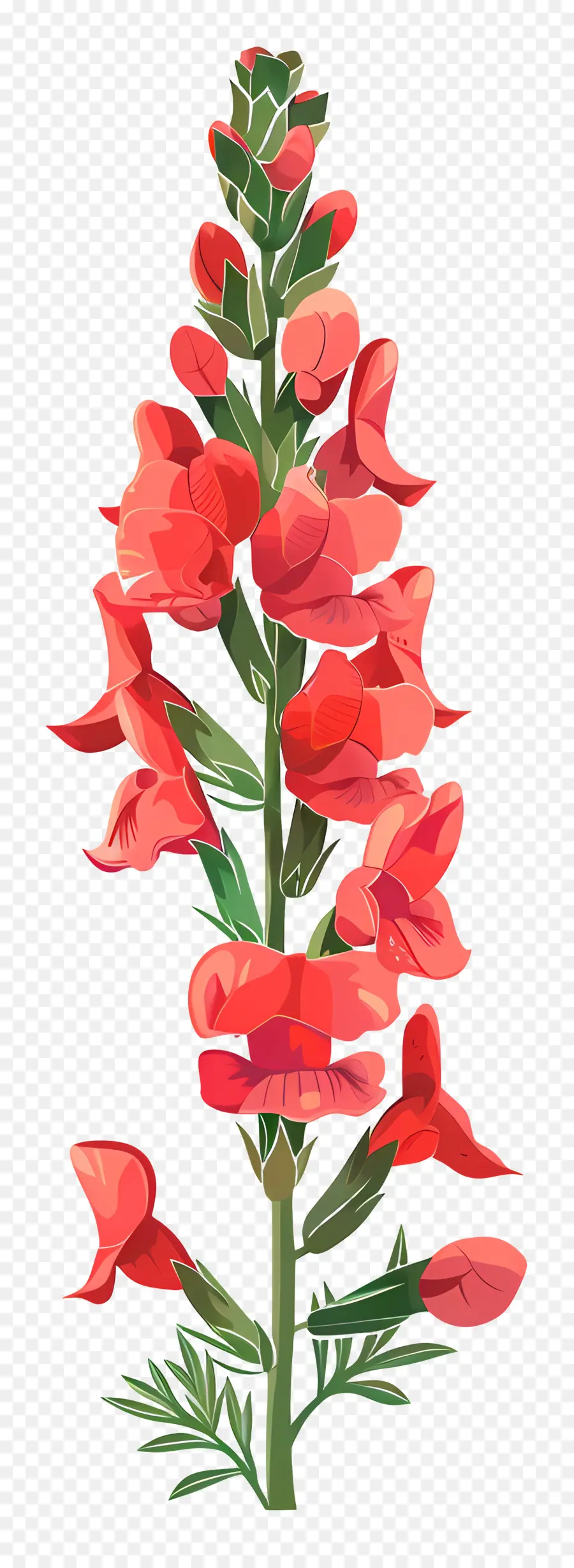 Aslanağzı çiçeği，Kırmızı Lupin PNG