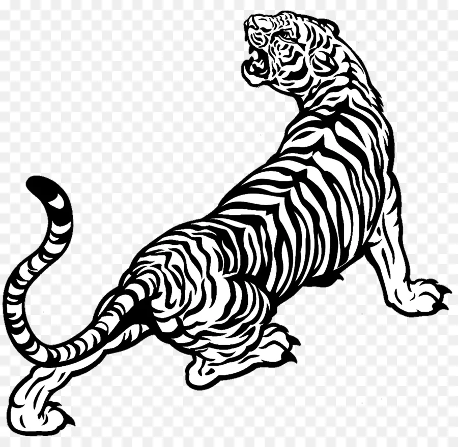 Tiger Logosu，Kaplan PNG