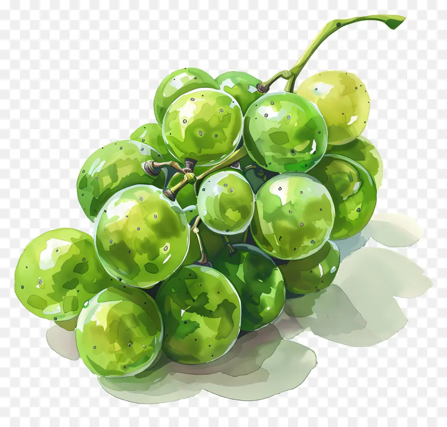 Yeşil üzüm，Meyve PNG