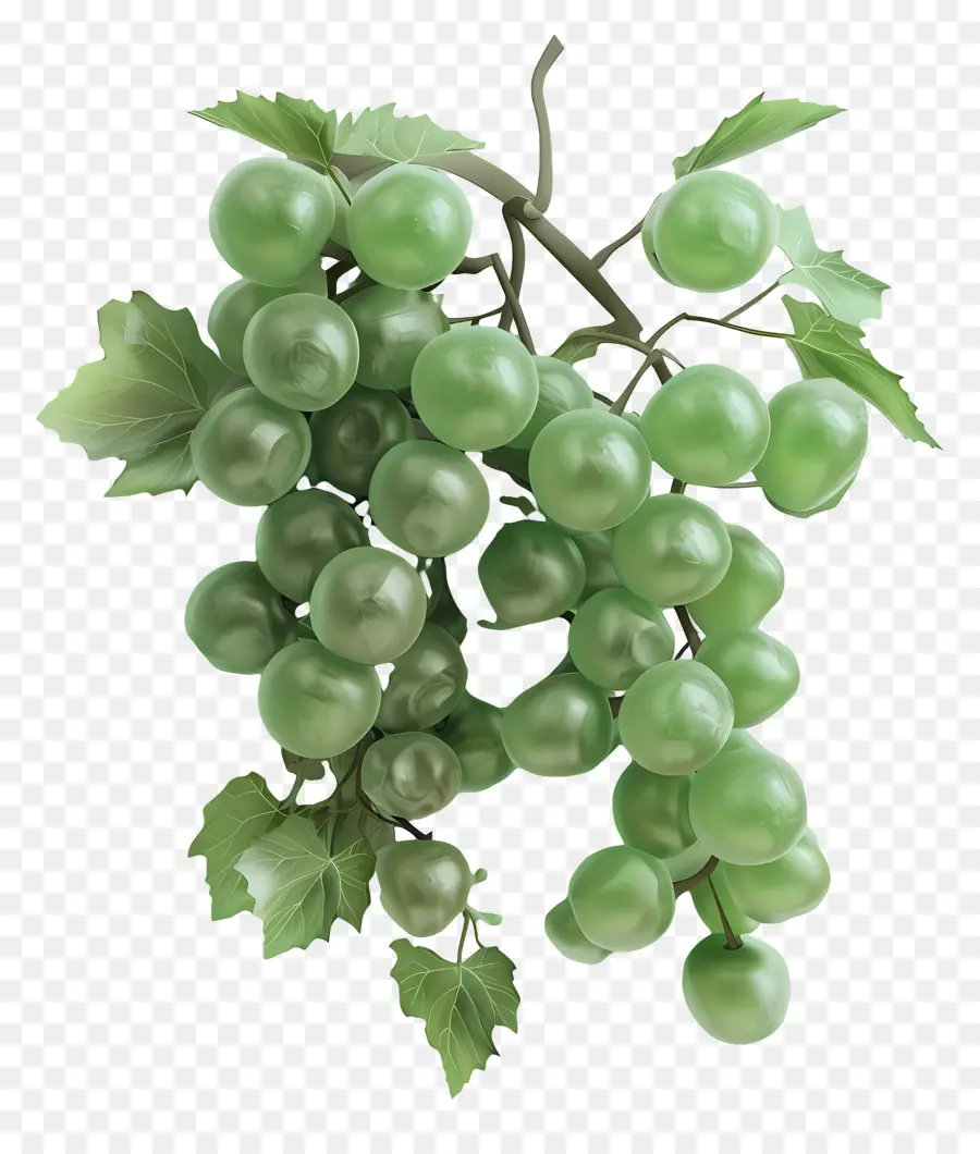Yeşil üzüm，üzüm Kümesi PNG