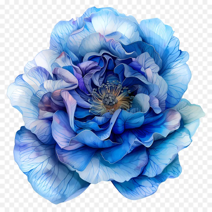 Mavi Gül，Mavi çiçek PNG