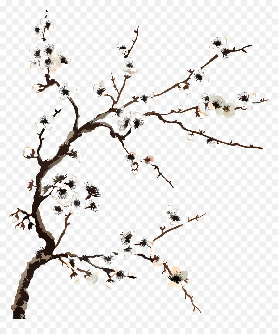 Çiçek Açan Kiraz Ağacı Dalı，Çiçekli Ağaç Şubesi PNG