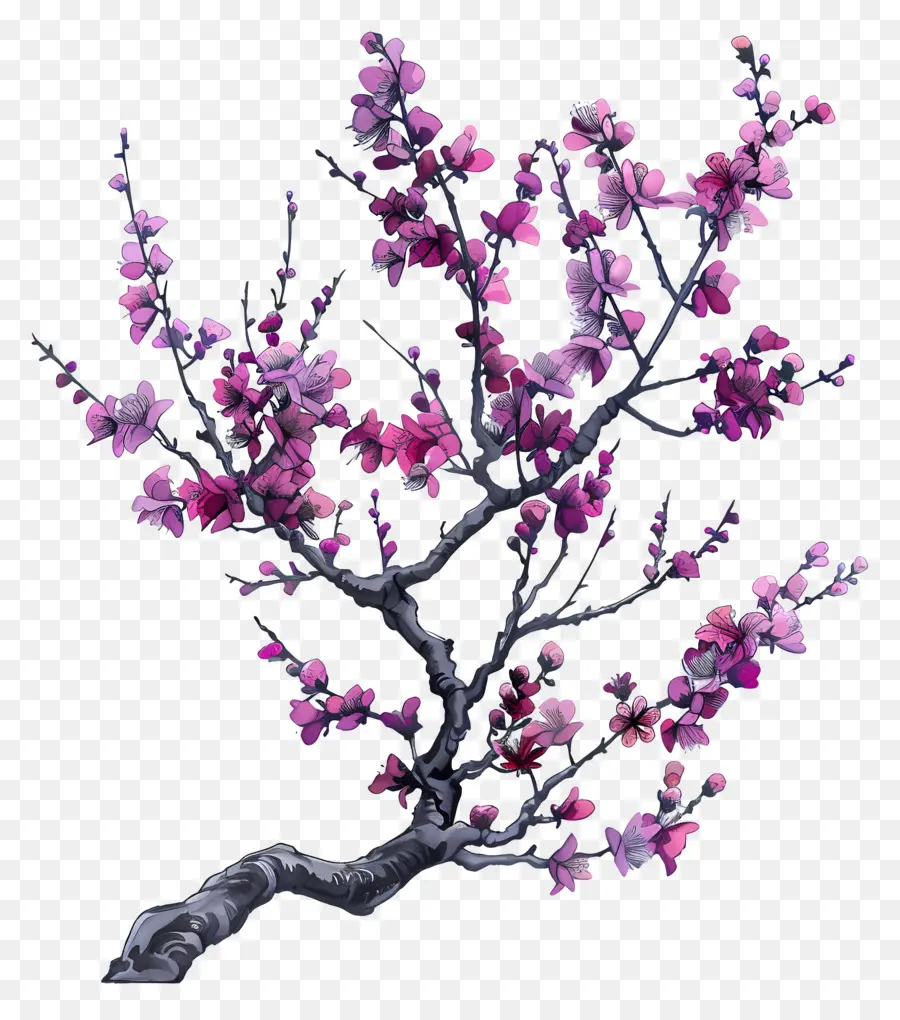 Çin Erguvan，Kiraz çiçeği PNG