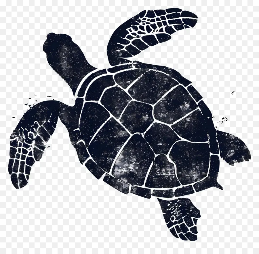 Kaplumbağa Silueti，Kaplumbağa PNG