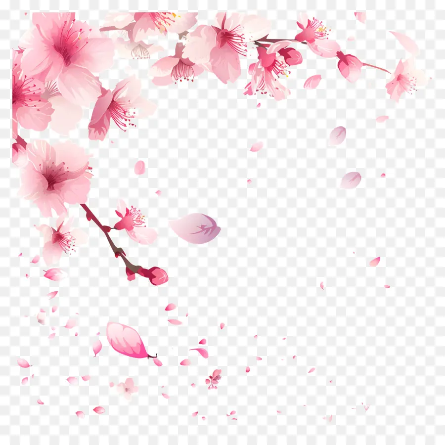 Bahar Sakura Çiçeği，Sakura PNG