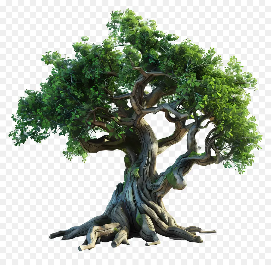 Ağacın Gövdesi，Ağaç PNG