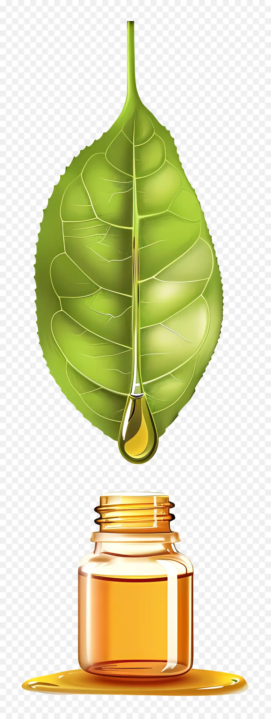 Esans，Yeşil Yaprak PNG