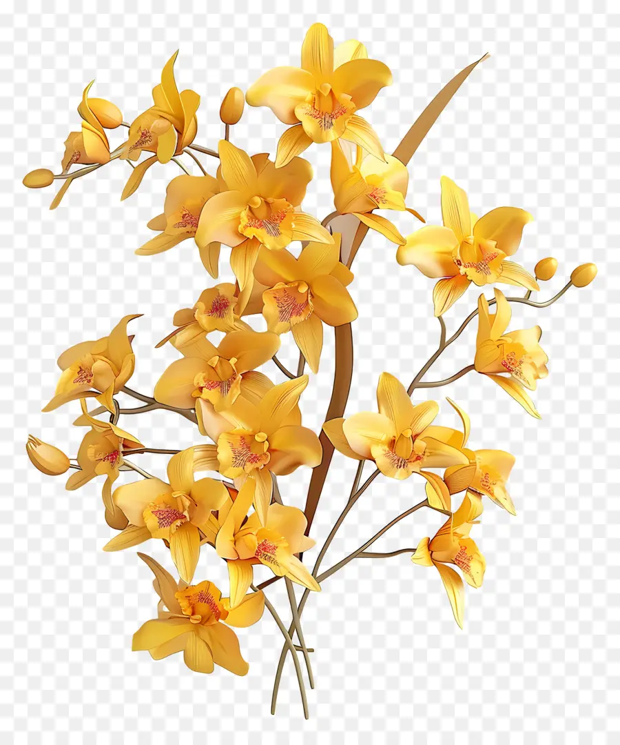 Sarı Orkide，çiçek Buketi PNG