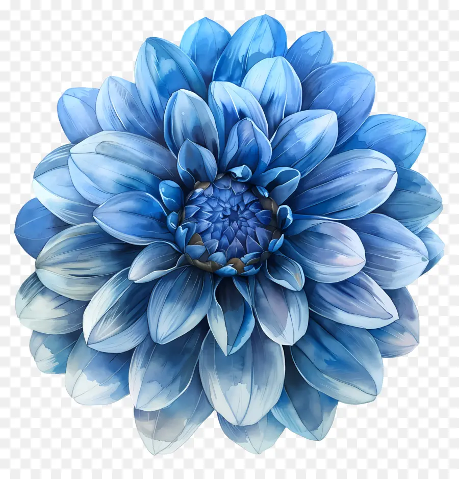 Mavi Dahlia Çiçeği，Mavi çiçek PNG