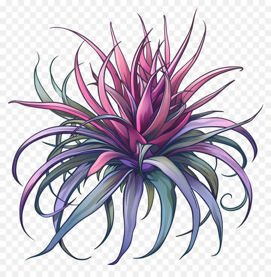 Tillandsia Hava Tesisi，Renkli Hava Santrali PNG