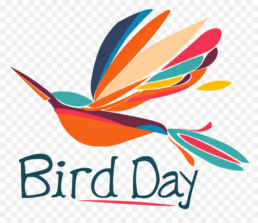 Kuş Gün，Renkli Kuş PNG