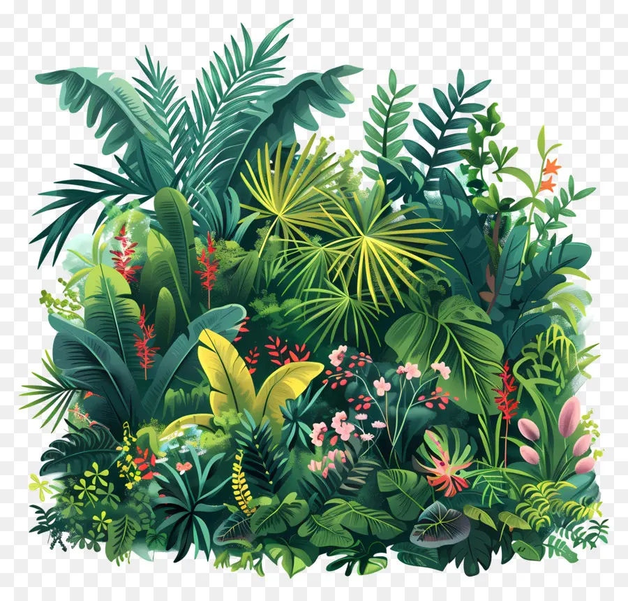 Yemyeşil Bitki örtüsü，Orman PNG