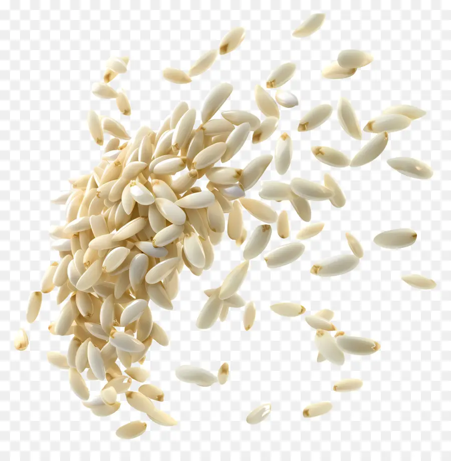 Pirinç Taneleri，Organik Tohumlar PNG