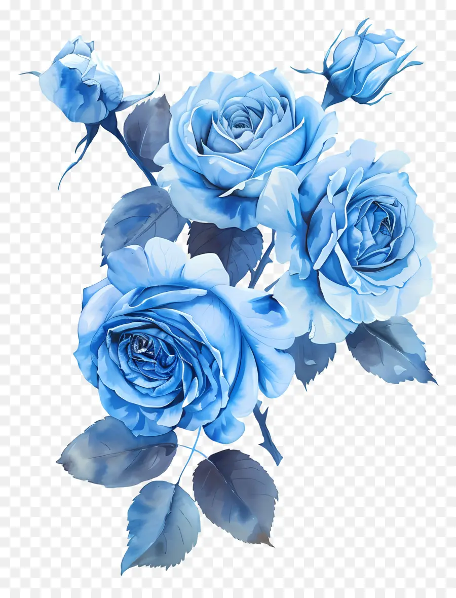 Mavi Güller，çiçek Aranjmanı PNG