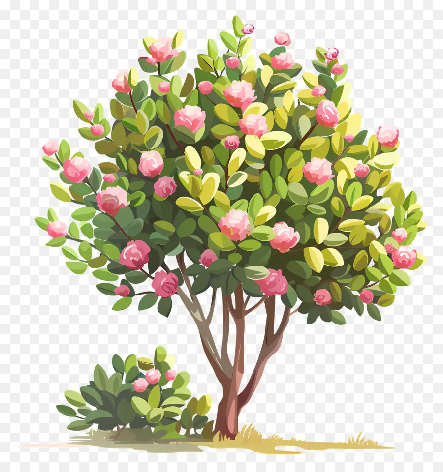 Çalı，Pembe çiçekli Ağaç PNG