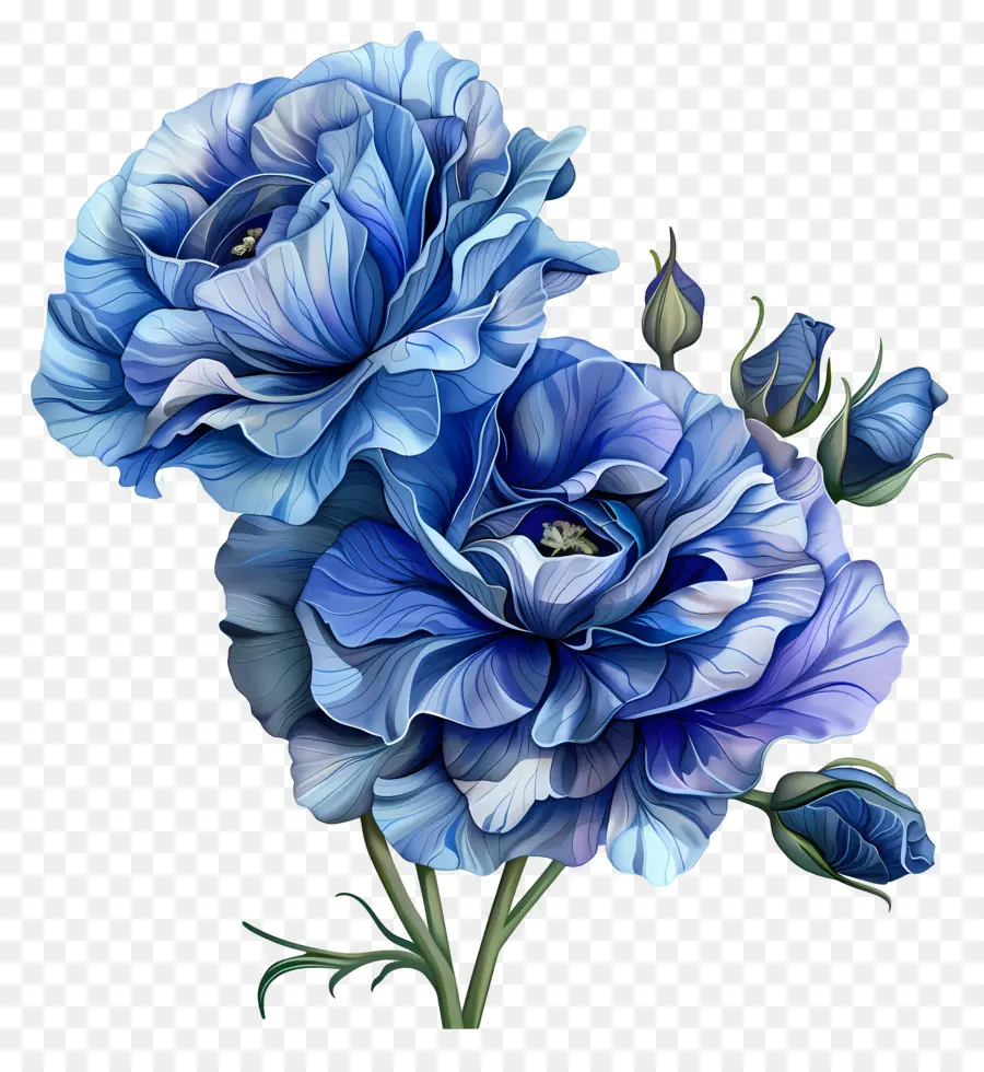 Mavi Lisianthus çiçeği，Suluboya Resim PNG