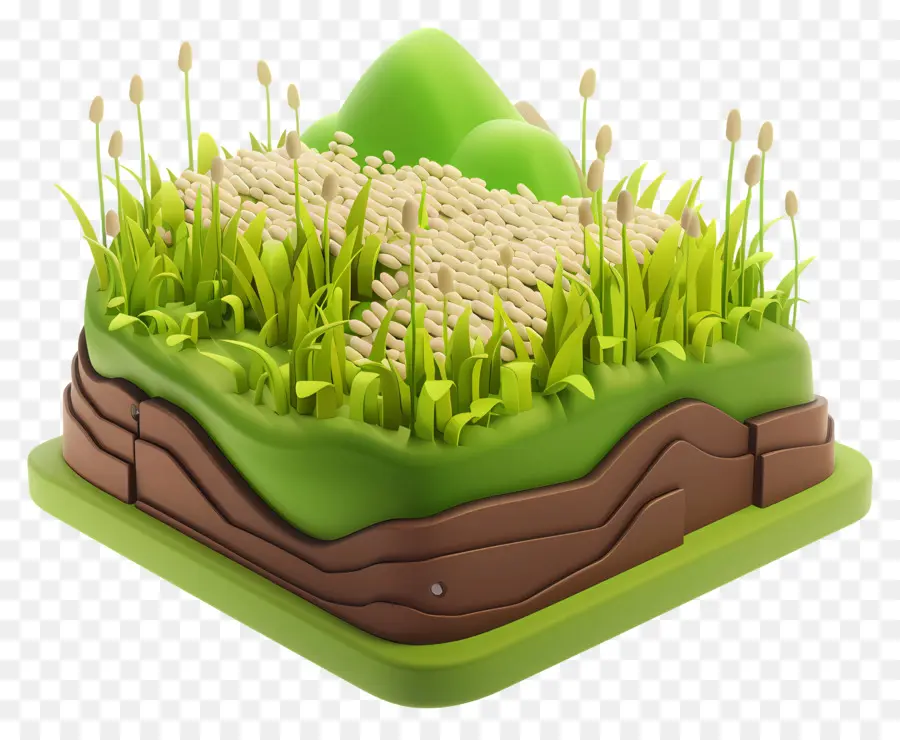 Pirinç Tarlası，Yeşil Alan PNG