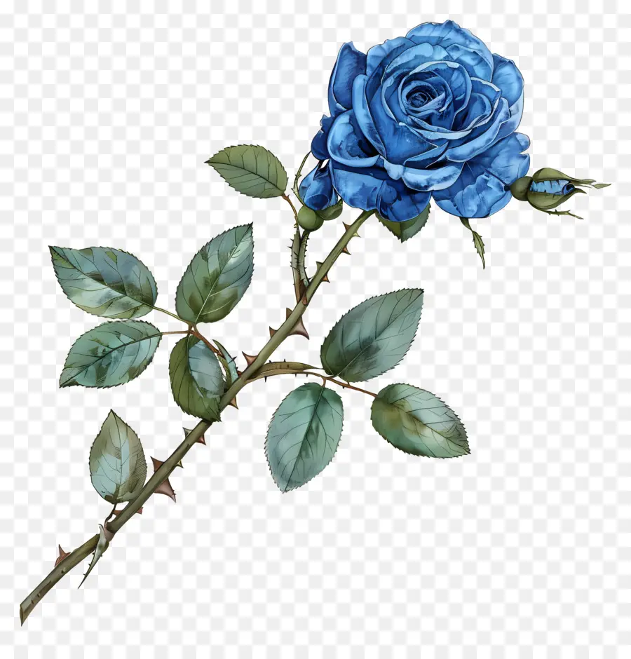 Mavi Gül，çiçek PNG