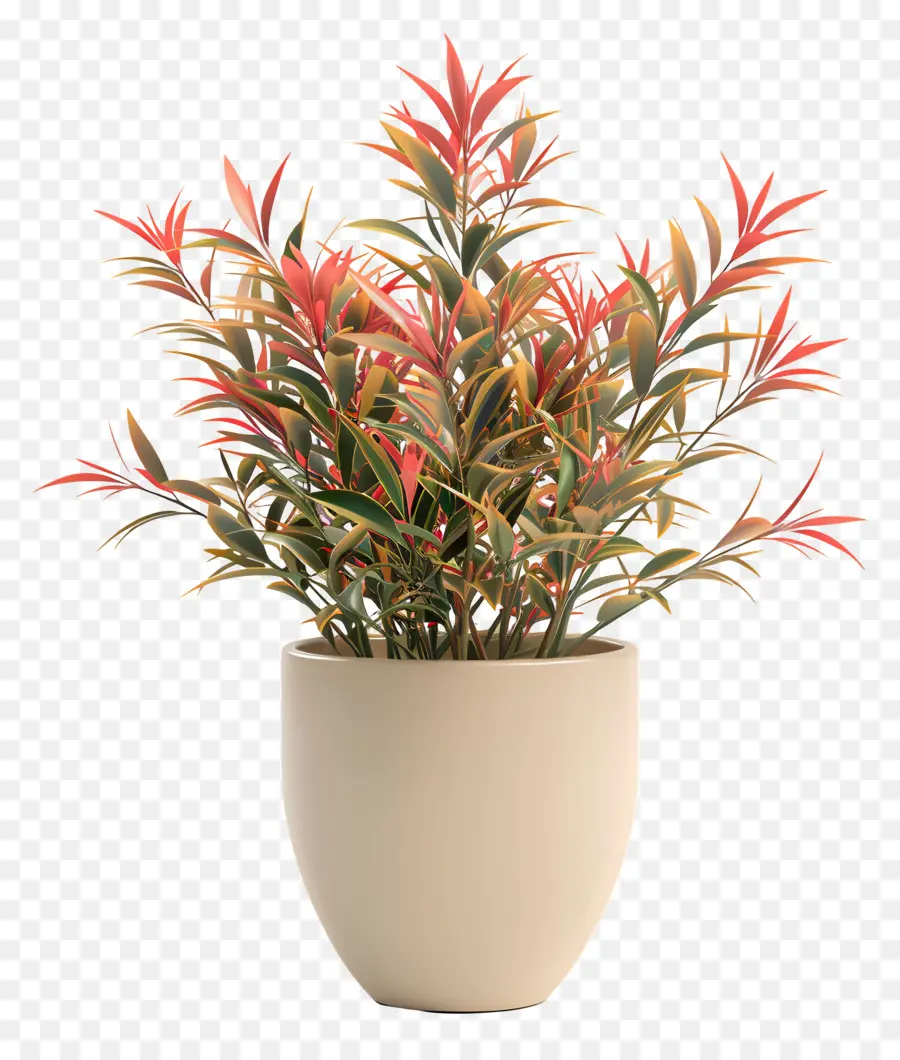 Nandina Evcil，Saksı Bitkisi PNG