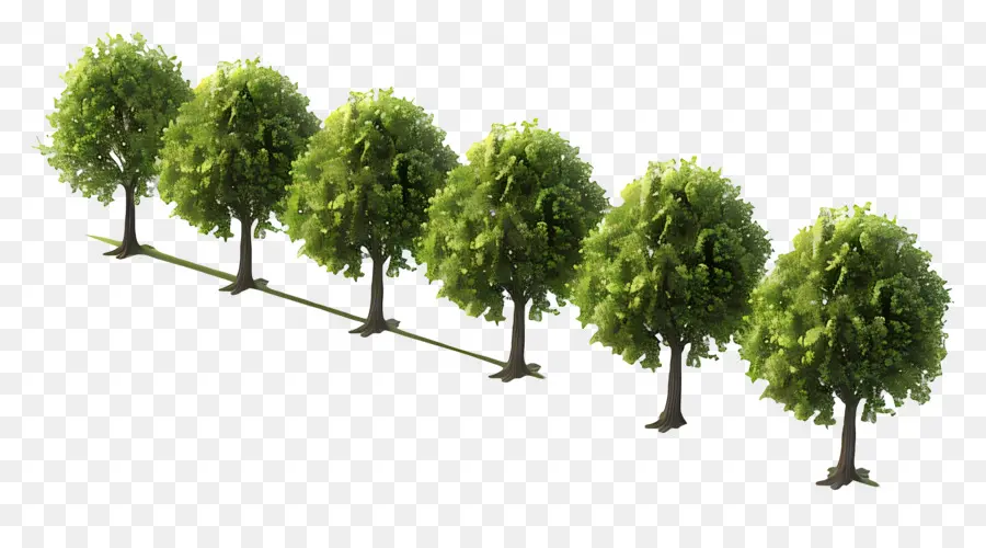 Ağaçlar，Yeşil PNG