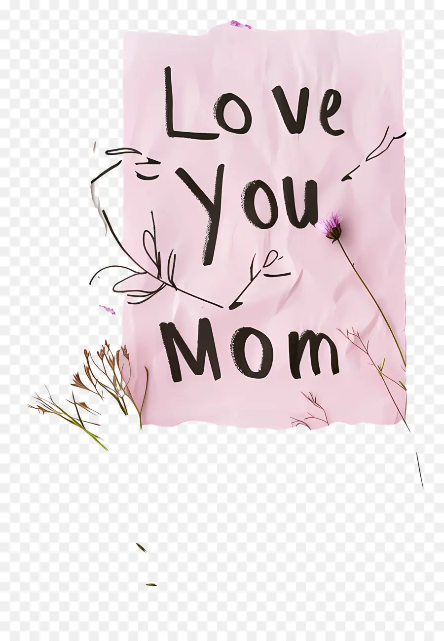 Anne Seni Seviyorum，Anneler Günü PNG
