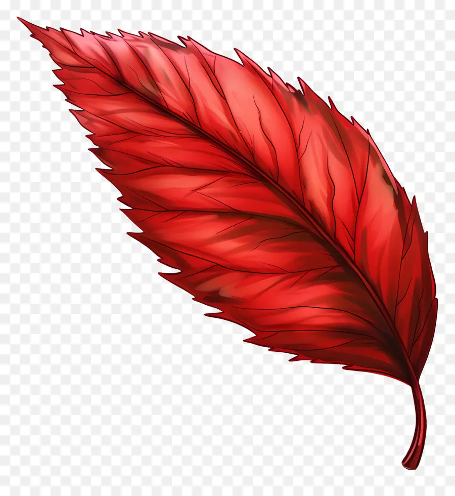 Kırmızı Yaprak，Doğa PNG