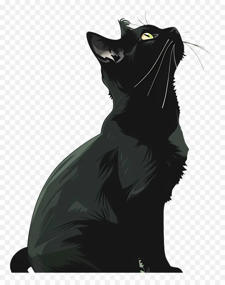 Kara Kedi，Kedi PNG