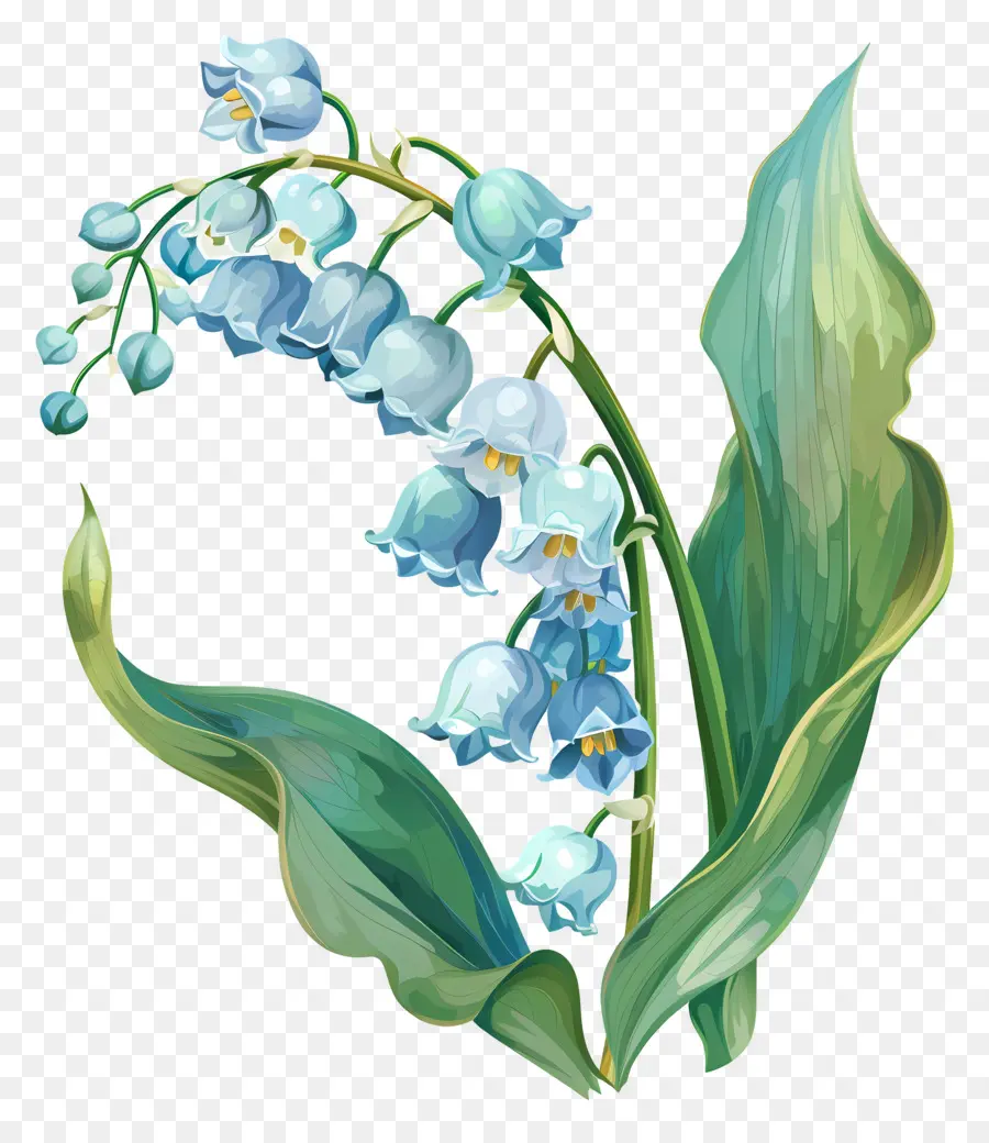 Lily Vadi，Mavi çiçekler PNG