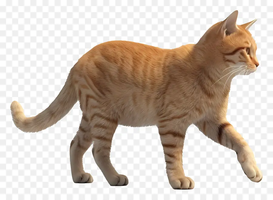 Yürüyen Kedi Yandan Görünüş，Turuncu Kedi PNG