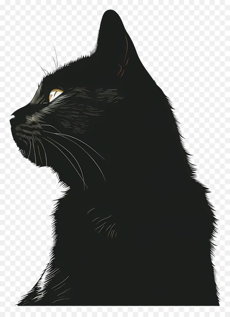 Kara Kedi，Kedi PNG