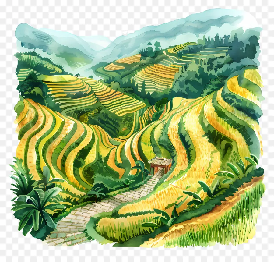 Pirinç Terasları，Çin Manzara Resim PNG