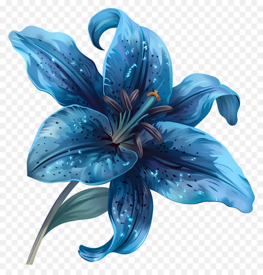 Mavi Lily，Mavi çiçek PNG