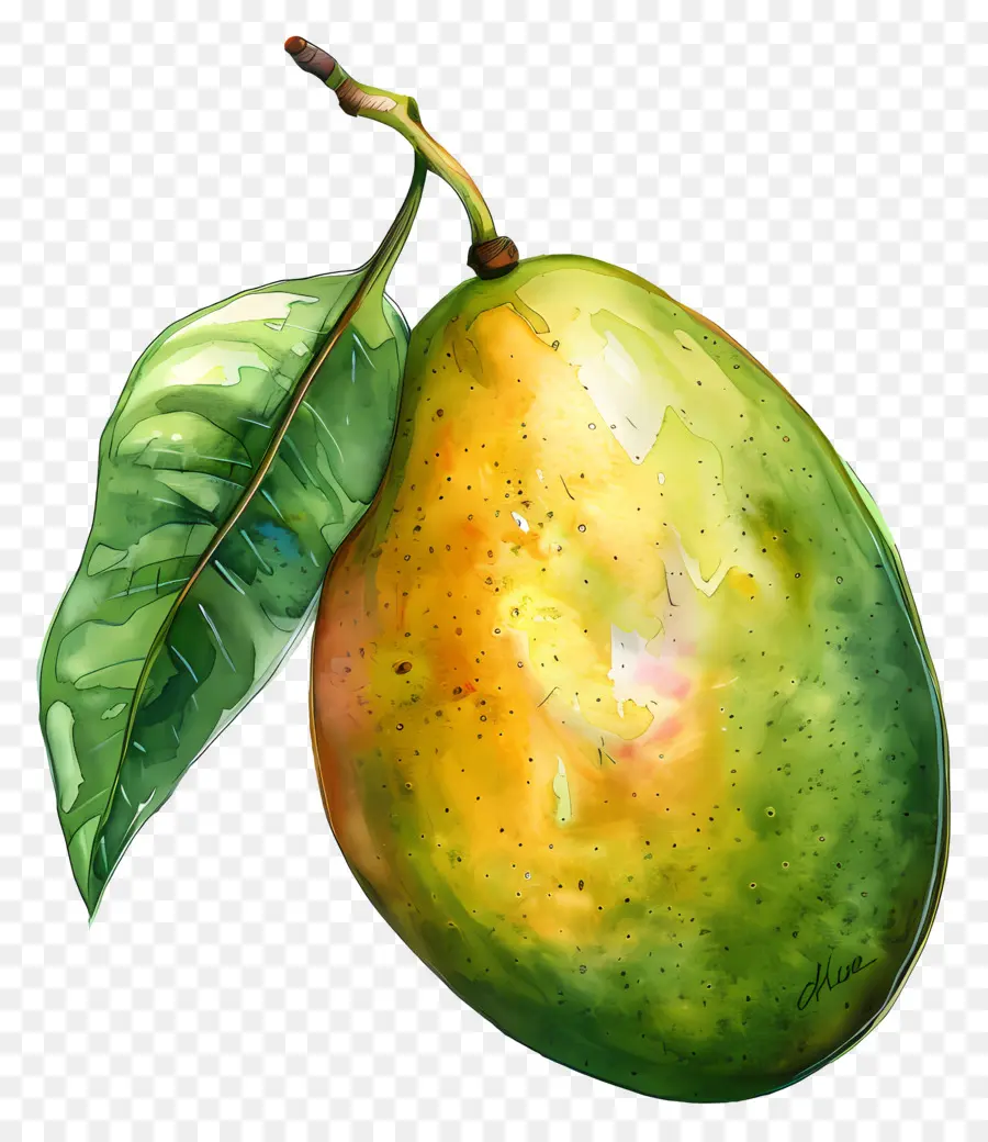 Ataulfo ​​mango，Mango Boyası PNG