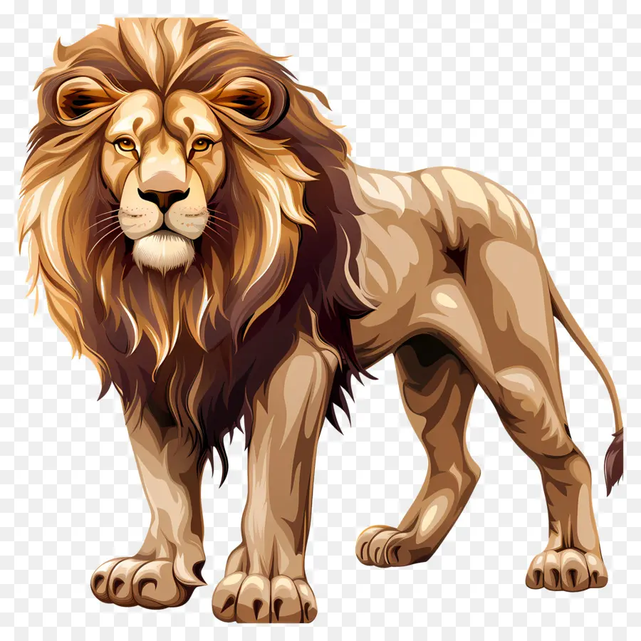 Aslan，Renkli Aslan PNG