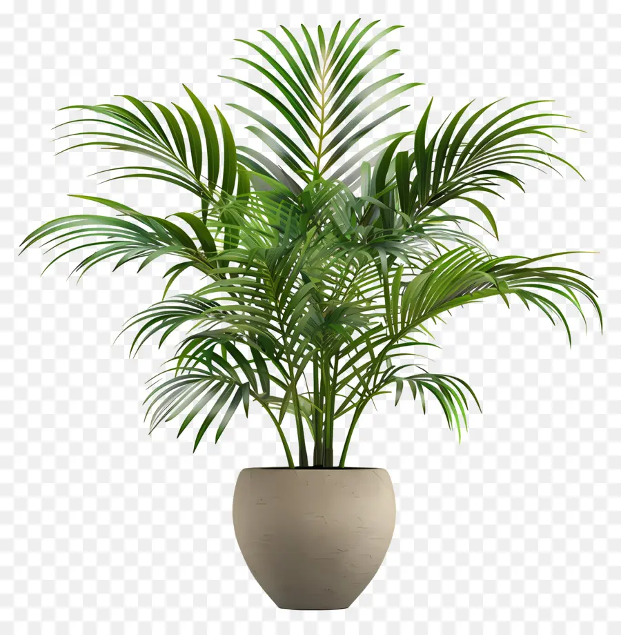 Tropikal Kapalı Bitki，Vazo PNG