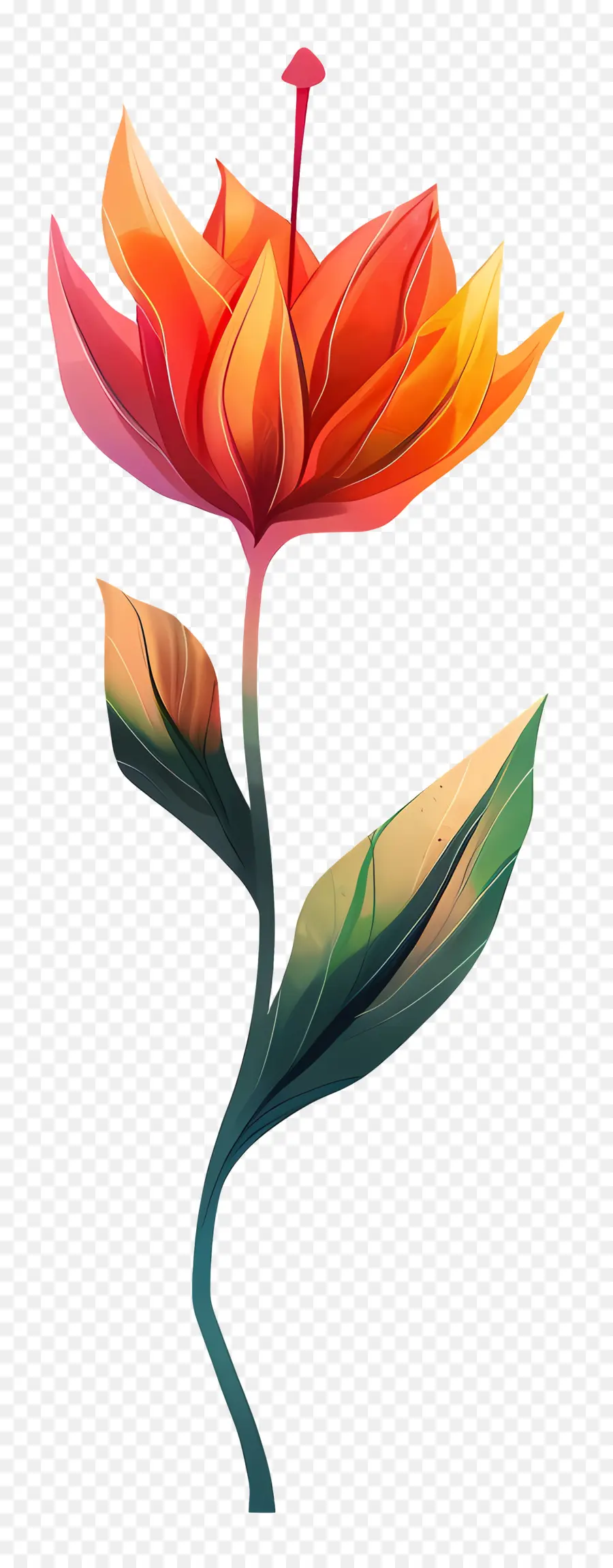 Midelerin Çiçeği，Suluboya çiçek PNG