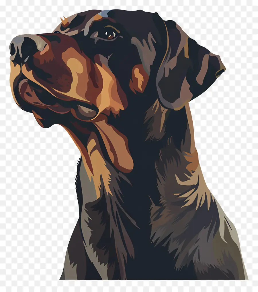 Köpek，Rottweiler PNG