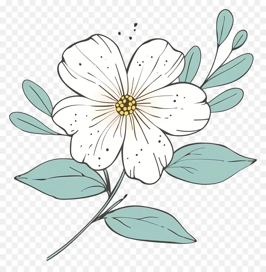 Beyaz çiçek，Elle çizilmiş PNG